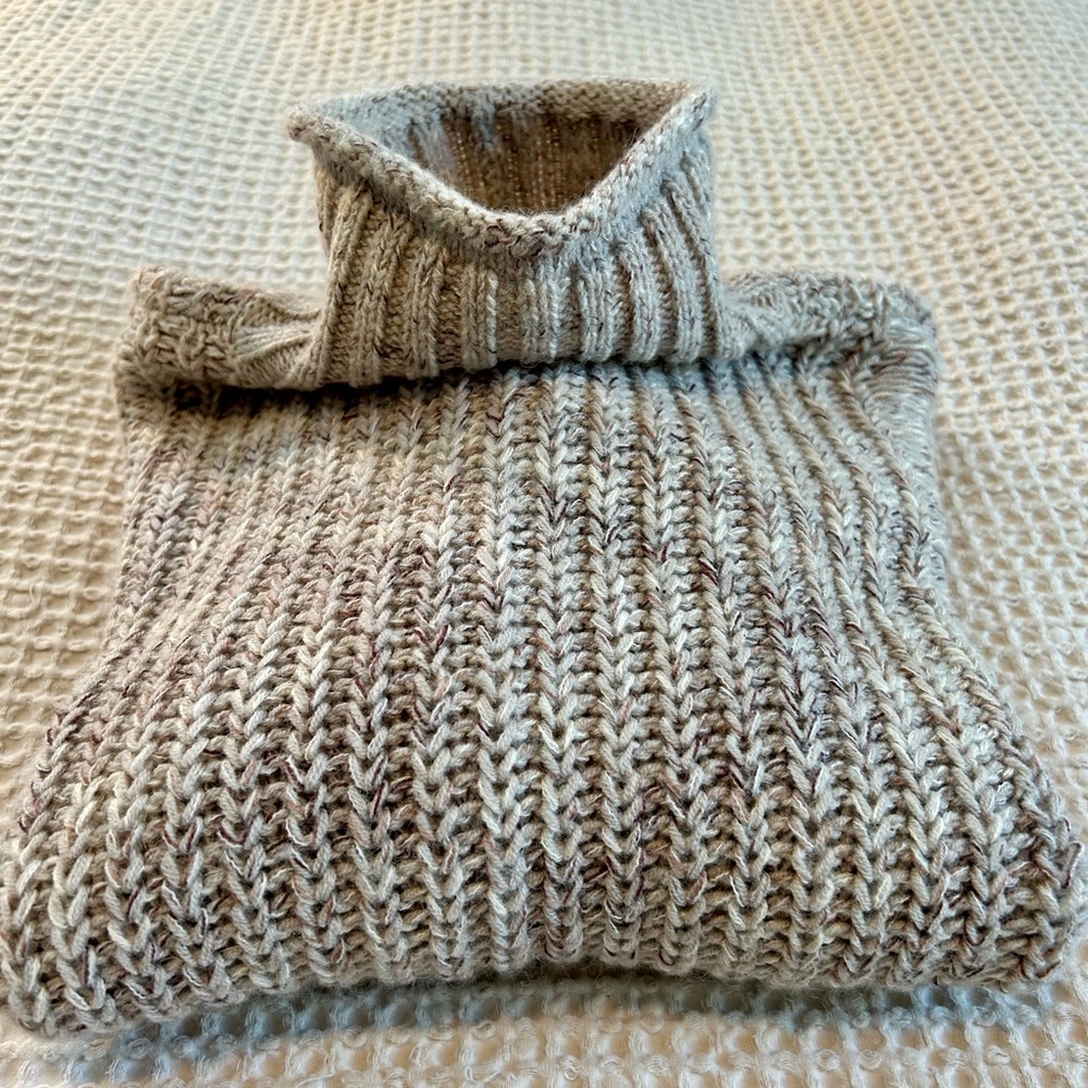 Express Turtleneck Sweater
